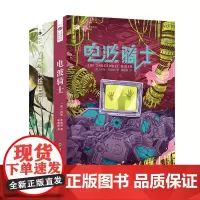 立于桑给巴尔(上下)+电波骑士 共3册