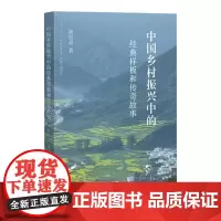中国乡村振兴中的经典样板和传奇故事 游祖勇著 乡村改革案例书籍农村改革可持续发展农业经济示范 社会主义建议福建教育出版社