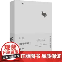 大地仍躲在棉被下越冬 俄罗斯自然随笔 (俄罗斯)弗拉基米尔·伊万诺维奇·科利别里 著 陈淑贤 译 外国随笔/散文集文学