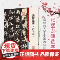 张猛龙碑选字本 彩色放大本中国著名碑帖孙宝文编上海辞书出版社 书法篆刻碑帖鉴赏毛笔字练习临摹字帖