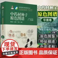 正版 全国中药材种子原色图谱(华南卷)(全国中药材种子原色图谱系列丛书)中国医药科技出版社 周良云、杨光