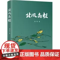 北风南枝
