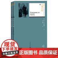 苦难历程两册阿托尔斯泰著两姐妹一九一八年阴暗的早晨插图本名著名译人民文学出版社正版