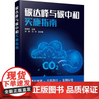 碳达峰与碳中和实施指南 张燕龙 编 企业管理经管、励志 正版图书籍 化学工业出版社