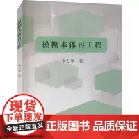 模糊本体再工程 李卫军 著 程序设计(新)生活 正版图书籍 东北大学出版社