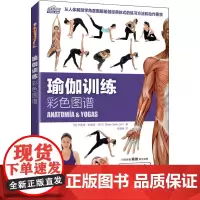 瑜伽训练彩色图谱 (西)米雷娅·帕蒂诺·科尔 著 徐慧峰 译 瑜伽文教 正版图书籍 人民邮电出版社