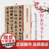 智永草书千字文 彩色放大本中国著名碑帖孙宝文编上海辞书出版社 书法篆刻碑帖鉴赏毛笔字练习临摹字帖