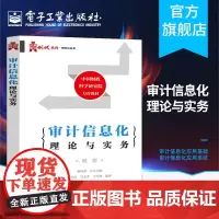 正版 审计信息化理论与实务 中国财政科学研究院教材 风险控制与审计 计算机审计IT审计技术专业教材书籍
