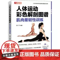 肌肉柔韧性训练 陈洋 编 体育运动(新)文教 正版图书籍 人民邮电出版社