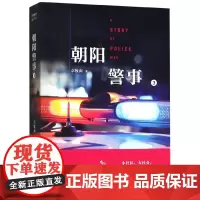 朝阳警事(3)