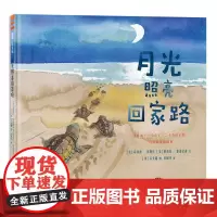 月光照亮回家路——精装 动物保护 4岁以上社会自然 从生活中发现问题和解决问题 孩子也可以改变世界 蒲蒲兰绘本馆店