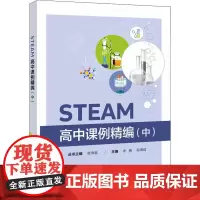 STEAM高中课例精编(中) 申燕,郭琪琦 著 育儿其他文教 正版图书籍 电子工业出版社
