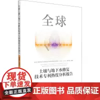 全球土壤与地下水修复技术专利热度分析报告 2000-2019 全球土壤与地下水修复技术专利热度分析报告(2000-201