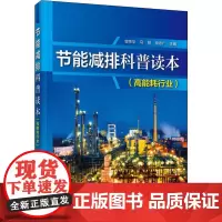 节能减排科普读本(高能耗行业) 曾荣华,马丽,徐志广 编 能源与动力工程专业科技 正版图书籍 化学工业出版社