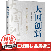 大国创新 陈劲,吴欣桐 著 管理其它经管、励志 正版图书籍 中国人民大学出版社