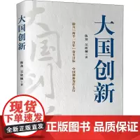 大国创新 陈劲,吴欣桐 著 管理其它经管、励志 正版图书籍 中国人民大学出版社