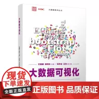 大数据可视化 王珊珊,梁同乐 编 数据库大中专 正版图书籍 清华大学出版社
