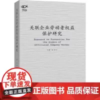 关联企业劳动者权益保护研究 鲍雨 著 法学理论社科 正版图书籍 清华大学出版社
