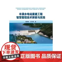 丰满水电站重建工程智慧管控技术探索与实践 路振刚 王永潭 著 建筑/水利(新)专业科技 正版图书籍 中国水利水电出版社