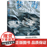 梦海 (德)妮娜·乔治 著 关飞,高菲 译 外国小说文学 正版图书籍 中信出版社