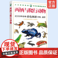 正版 两栖与爬行动物 200种动物彩色图谱识别鉴赏 两栖爬行动物形态习性繁殖特点自然科学百科大自然博物馆 百科珍藏图鉴