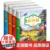 森林报(春夏秋冬)无障碍阅读名家名译版(套装全4册) (苏)维·比安基 著 周露 译 科普百科文教 正版图书籍
