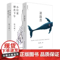沈大成作品2册套装迷路员+小行星掉在下午 青年作家 当代文学短篇小说书 宝珀理想国文学奖