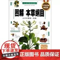 图解本草纲目(白话彩插经典版经典图解版)