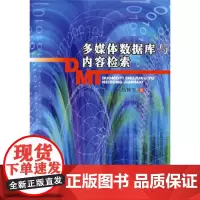 多媒体数据库与内容检索 马修军 著 北京大学出版社