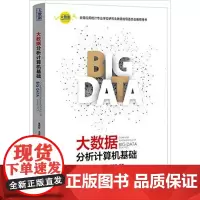 大数据分析计算机基础(大数据分析统计应用丛书)张延松 王成章 徐天晟中国人民大学9787300229188