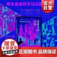 迷雾中的女孩 多纳托卡瑞西电影原著上海译文出版社外国欧美悬疑小说推理侦探文学另著消失者/迷宫中的男人/魔鬼在呢喃