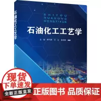 石油化工工艺学 王丽 等 编 石油 天然气工业专业科技 正版图书籍 中国石化出版社