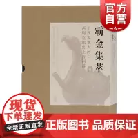 霸金集萃:山西翼城大河口西周墓地出土青铜器 上海古籍出版社文物考古