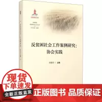 反贫困社会工作案例研究--协会实践/大国攻坚反贫困社会工作丛书 向德平 著 人口学经管、励志 正版图书籍