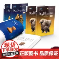 如果国宝会说话第一季第二季(套装全2册)故宫博物院原院长单霁翔 介绍中国传统文化文物研