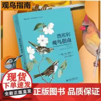 西布利观鸟指南 (美)戴维·艾伦·西布利 著 叶元兴,王利刚 译 鸟类专业科技 正版图书籍 北京大学出版社