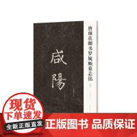 唐颜真卿书罗婉顺墓志铭(初拓本) 李旭文 著 书法/篆刻/字帖书籍艺术 正版图书籍 河南美术出版社