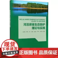 河流岸坡生态防护理论与实践 张桂荣 等 著 建筑/水利(新)专业科技 正版图书籍 中国水利水电出版社