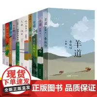 李娟作品全集11册 遥远的向日葵地 我的阿勒泰 阿勒泰的角落 冬牧场 羊道三部曲前山夏牧场 九篇雪李娟散文集合集