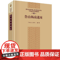 鲁山杨南遗址