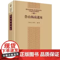 鲁山杨南遗址