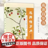 花开待岁月 诗经中的草木芳华 南南编细井徇绘中国传统文化艺术画册古代诗歌艺术绘画集诗经花草植物图册 安徽美术出版社