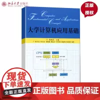 大学计算机应用基础谢柏青北京大学9787301129234