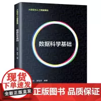 数据科学基础(大数据与人工智能系列)朱利平 罗翔宇 中国人民大学出版社