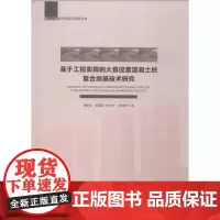 基于工程实践的大直径素混凝土桩复合地基技术研究 康景文 等 著 建筑/水利(新)专业科技 正版图书籍