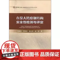 在役大跨度钢结构安全性检测与评定 李慧民,贾丽欣,裴兴旺 等 著 冶金工业专业科技 正版图书籍 法律出版社