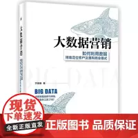 大数据营销(如何利用数据精准定位客户及重构商业模式)