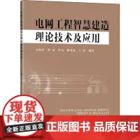 电网工程智慧建造理论技术及应用 万炳才 等 编 电工技术/家电维修专业科技 正版图书籍 东南大学出版社
