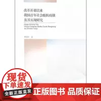 全新正版改革开放以来我国青年社会组织功能及其实现研究龚爱国97
