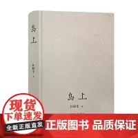 岛上 茅盾文学新人奖得主任晓雯 长篇小说处女作 新经典